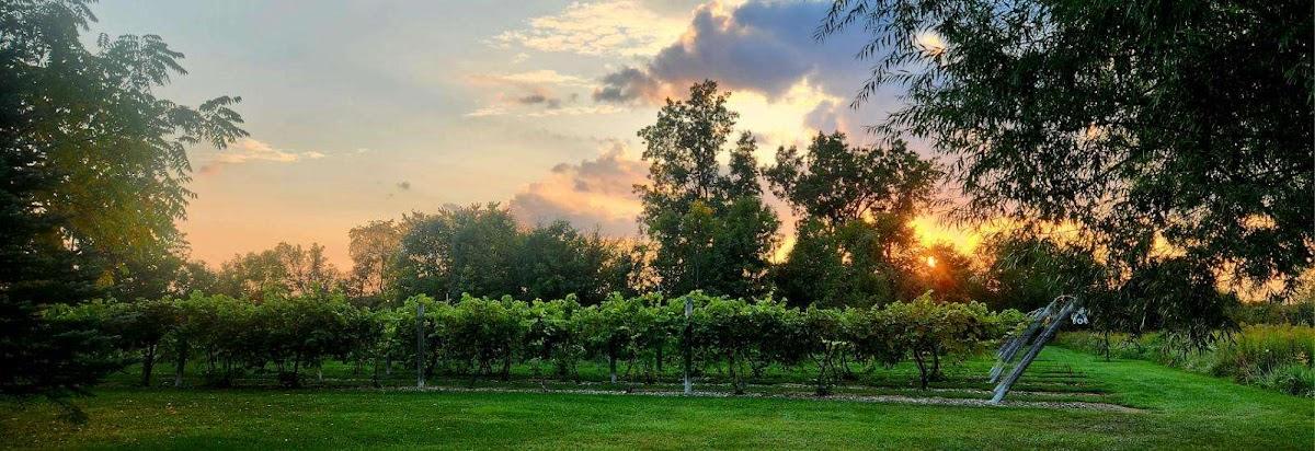 BARELY THERE WINERY L.L.C.