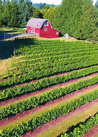 BARNELLO WINERY LLC