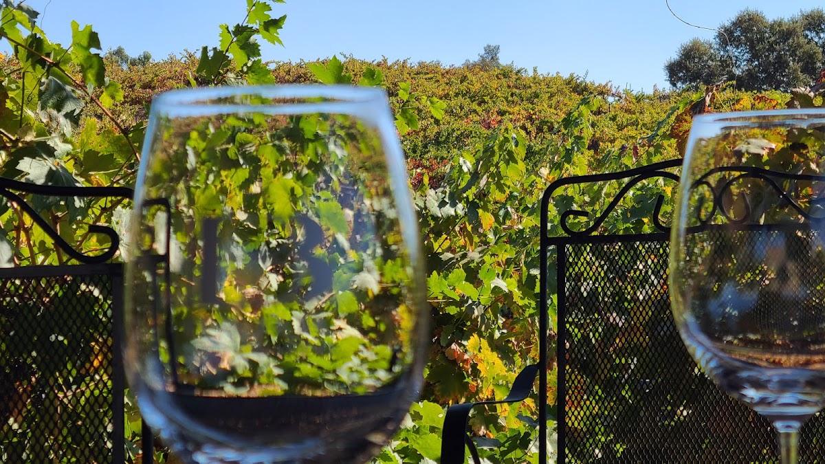 BARR ESTATE WINERY