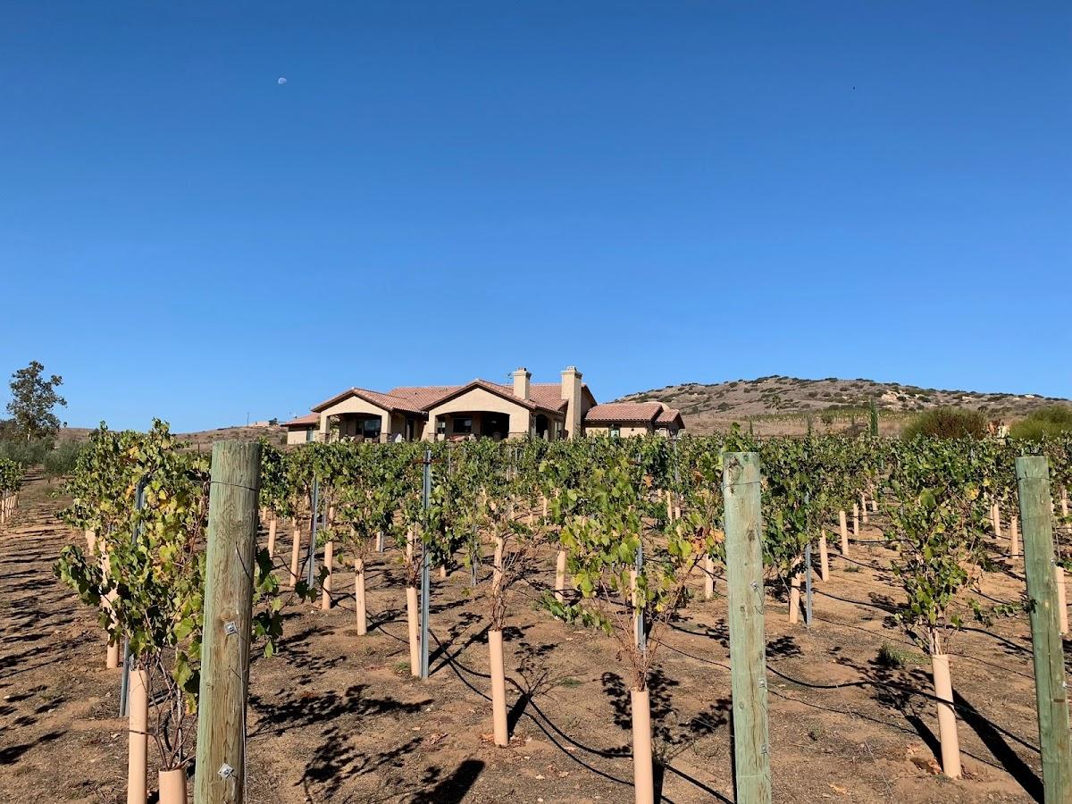 Bastians Vineyards