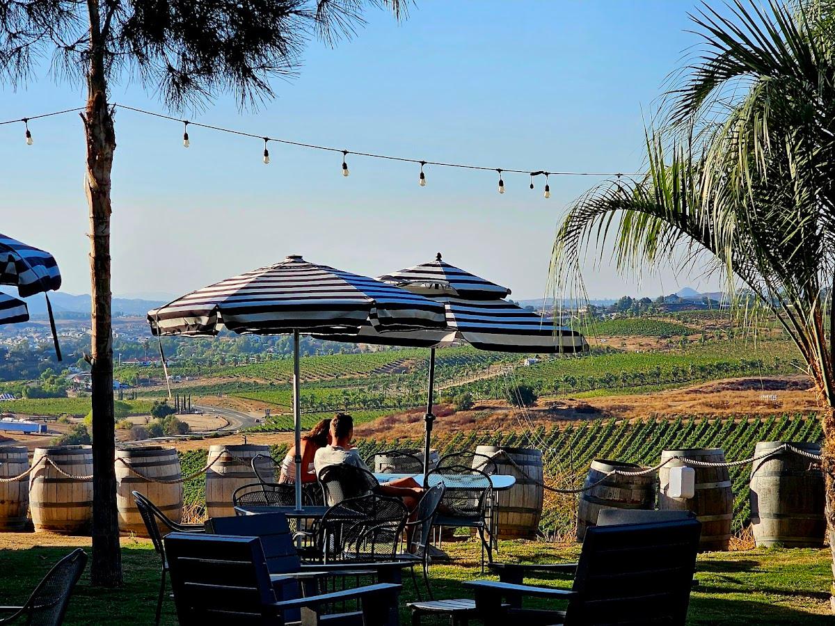 Bella Vista Winery & Cilurzo Vineyard