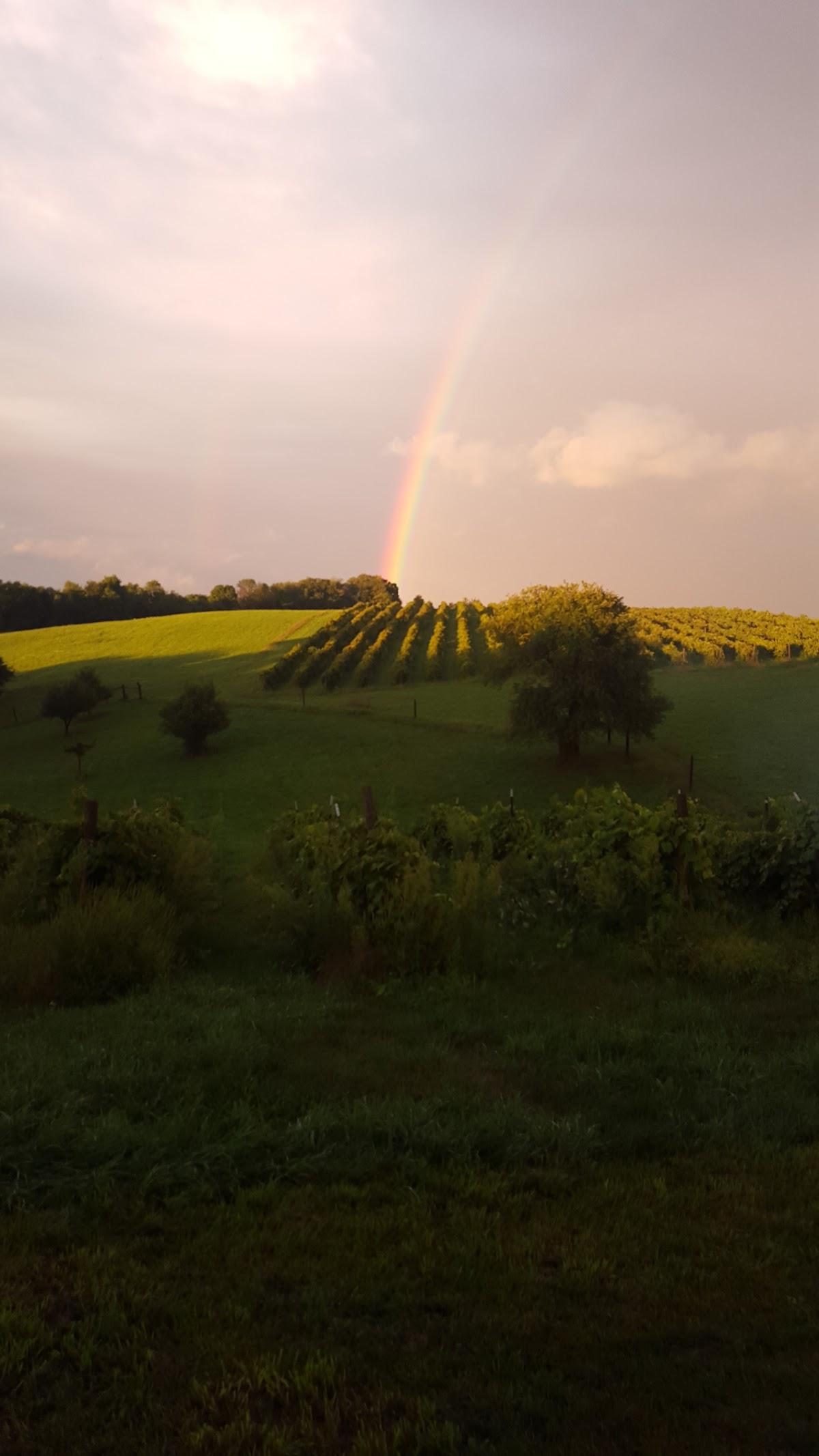BIRDSONG WINERY