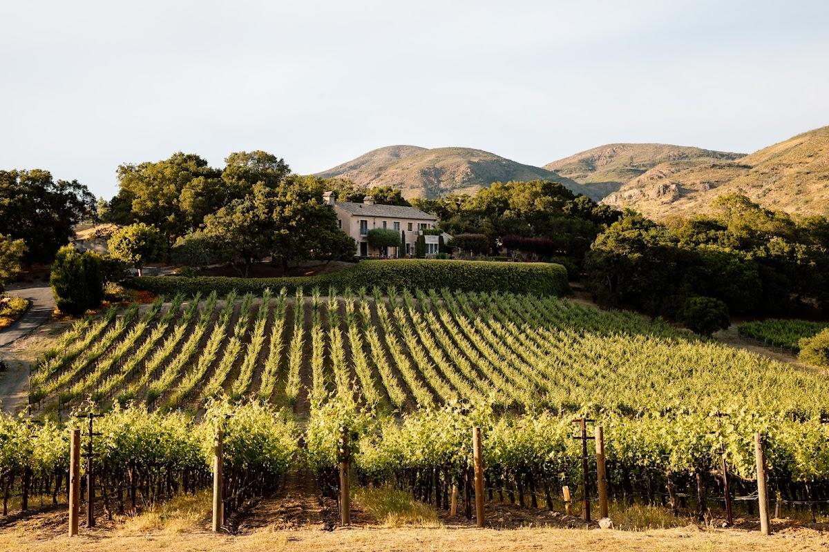 Bydand Wines