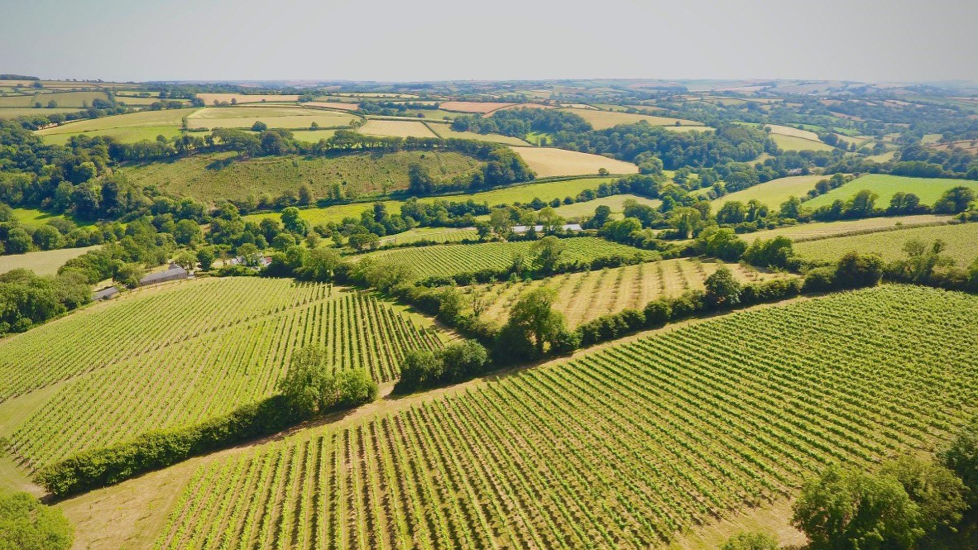 Calancombe Estate