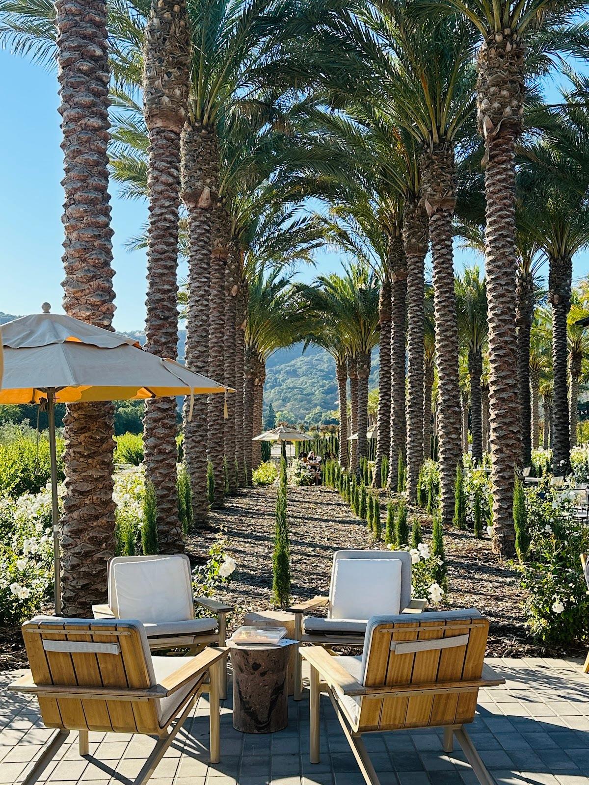 Caymus Suisun Winery