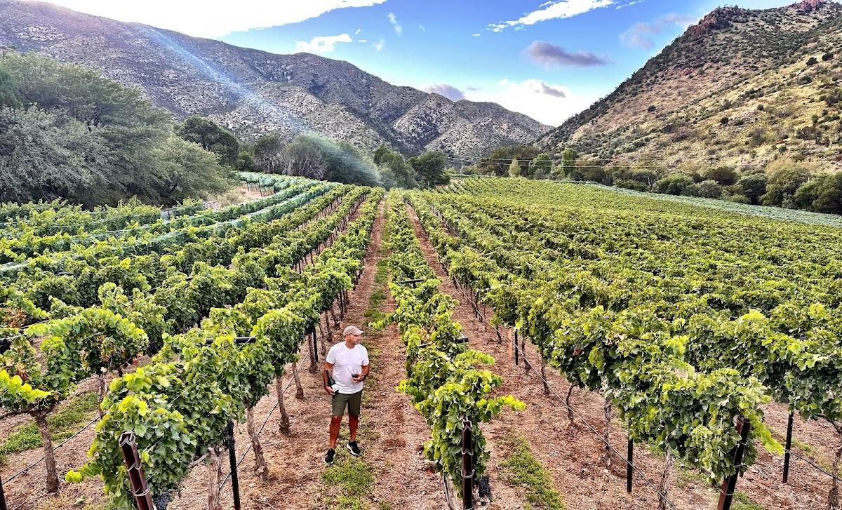 COLIBRI VINEYARD AND WINERY