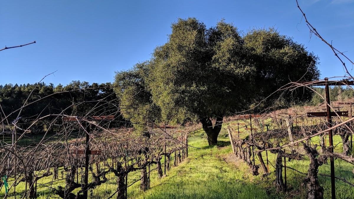 CROSSROADS WINERY, LLC