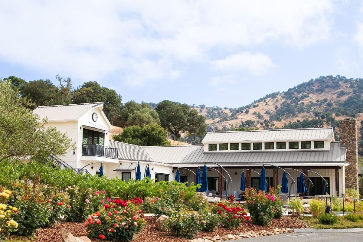 Baldacci Family Vineyards