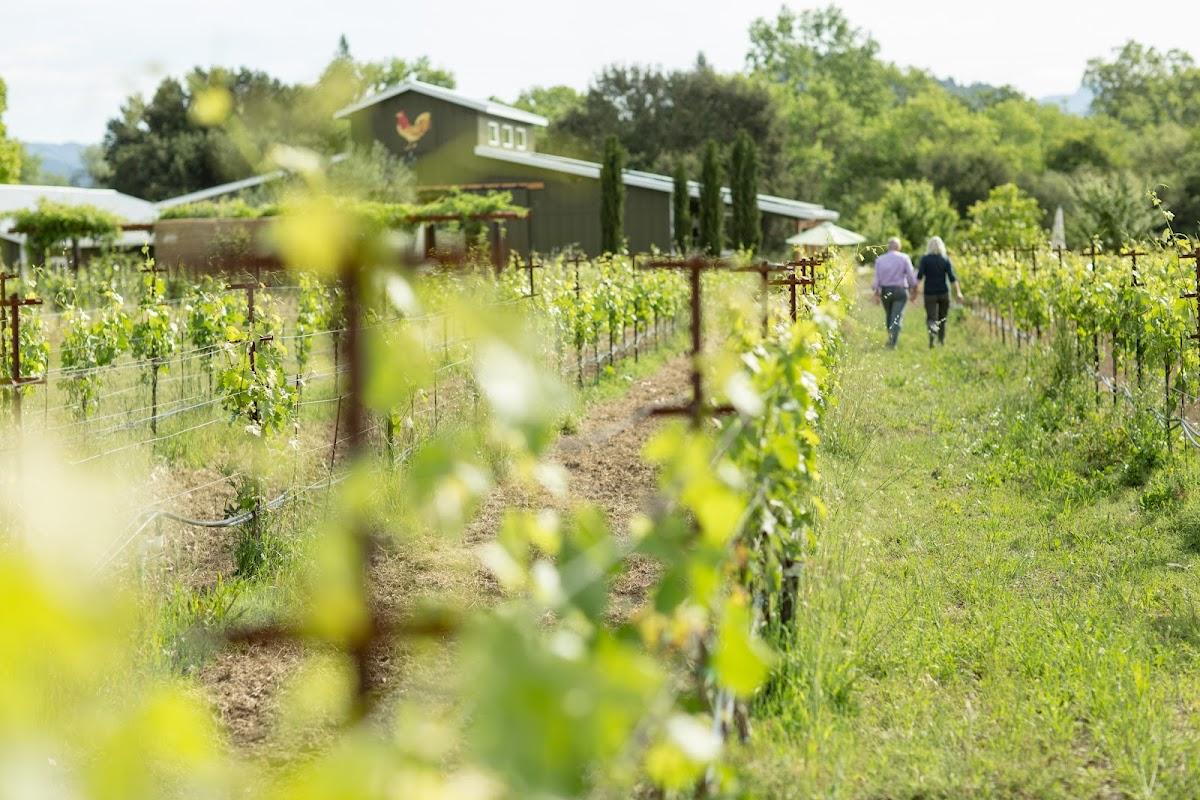 Desforges Vineyards