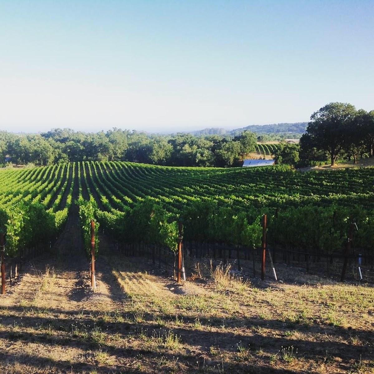 Domaine