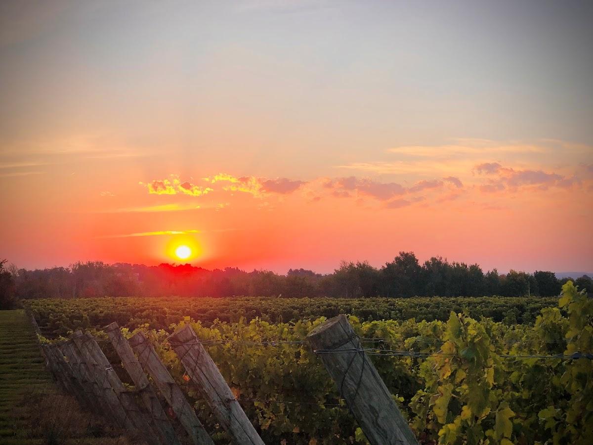 EAGLE TREE WINERY LLC