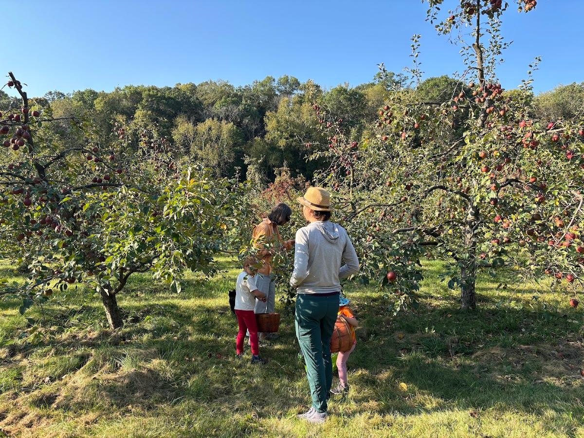 Elm Tree Farm