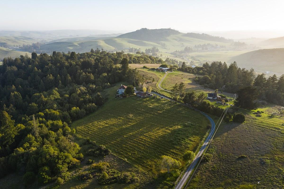 ERNEST VINEYARDS, LLC