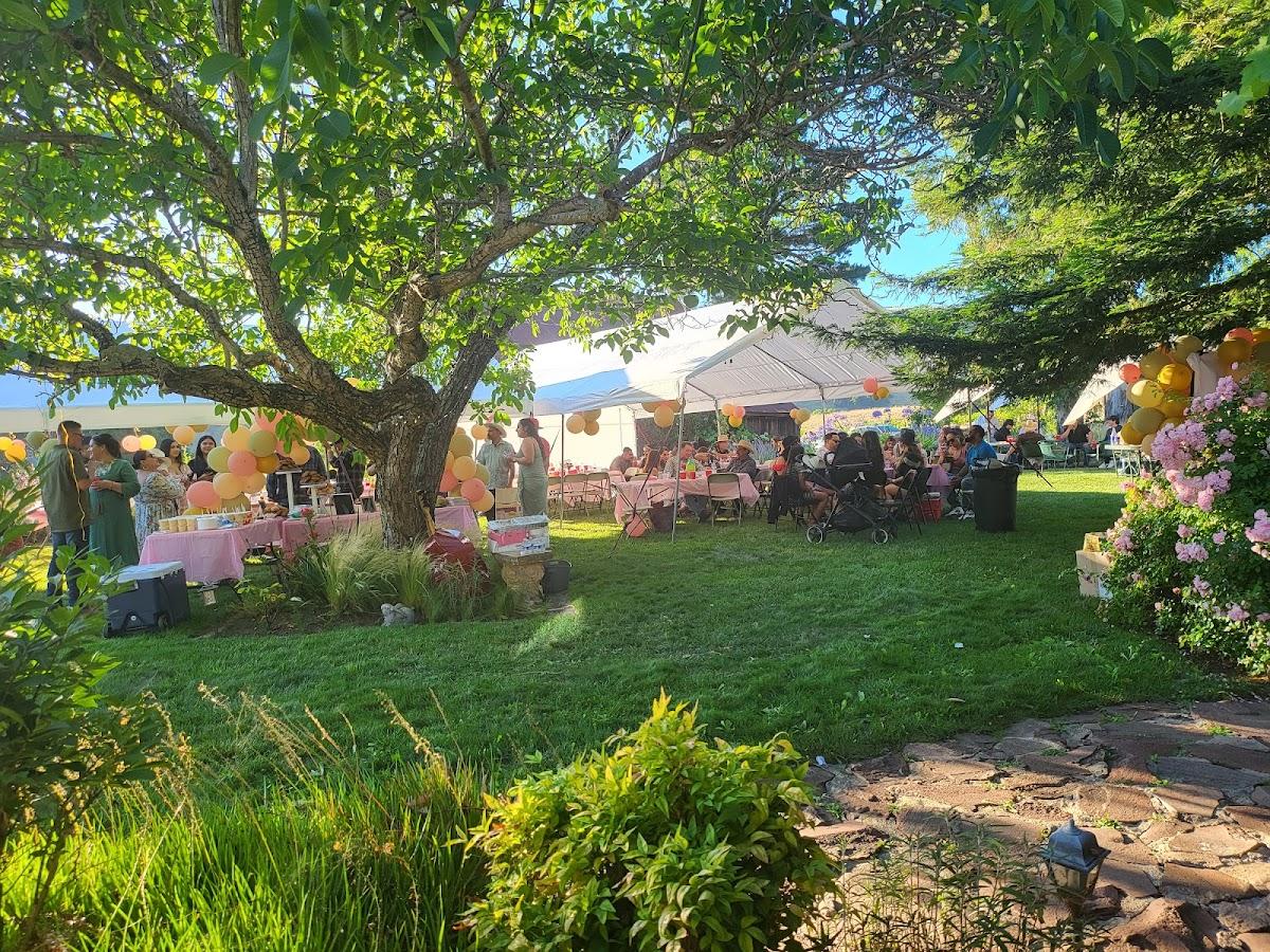 FOX PEAK VINEYARDS