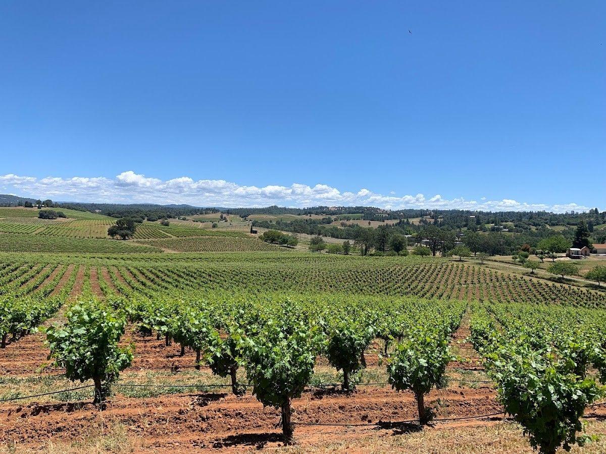 Bella Grace Vineyards