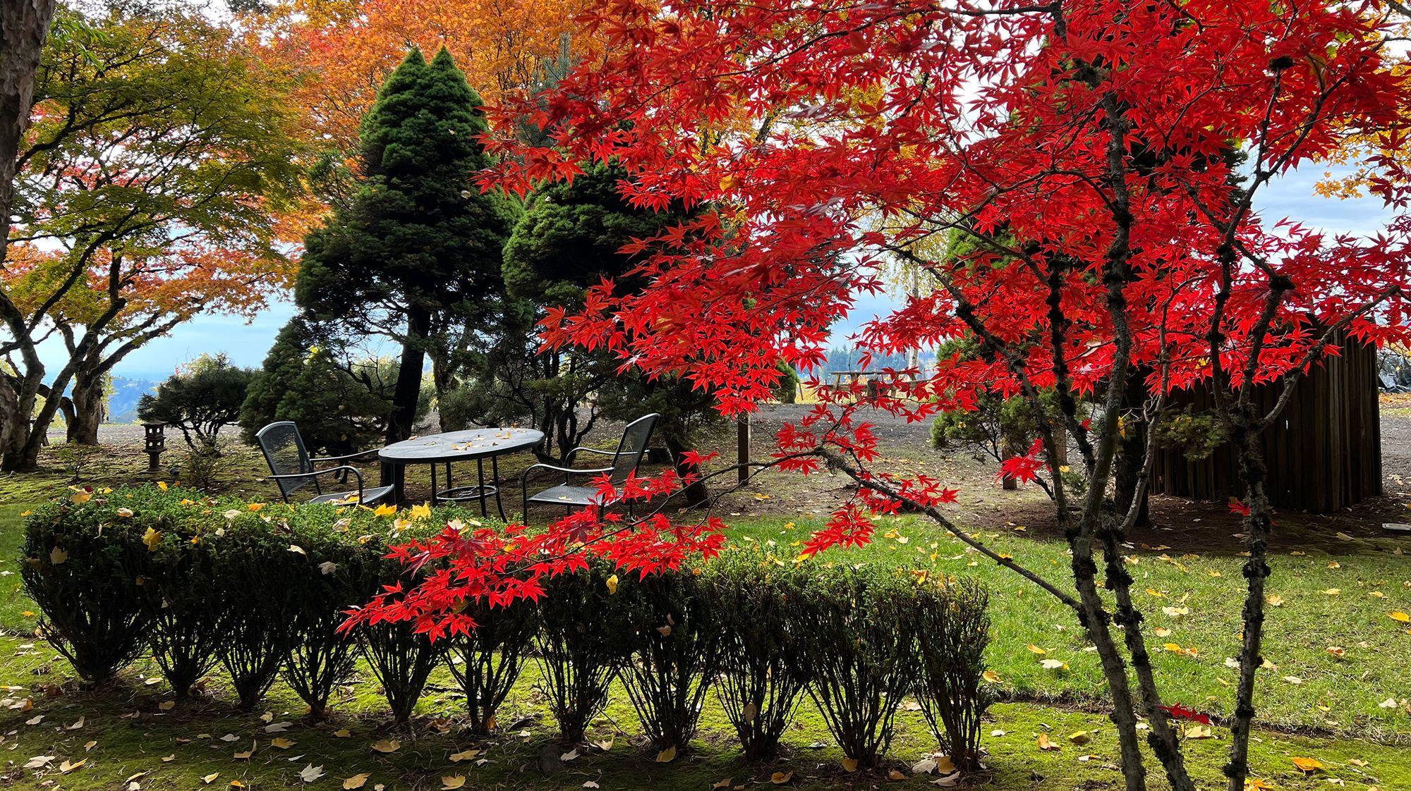Torii Mor Winery