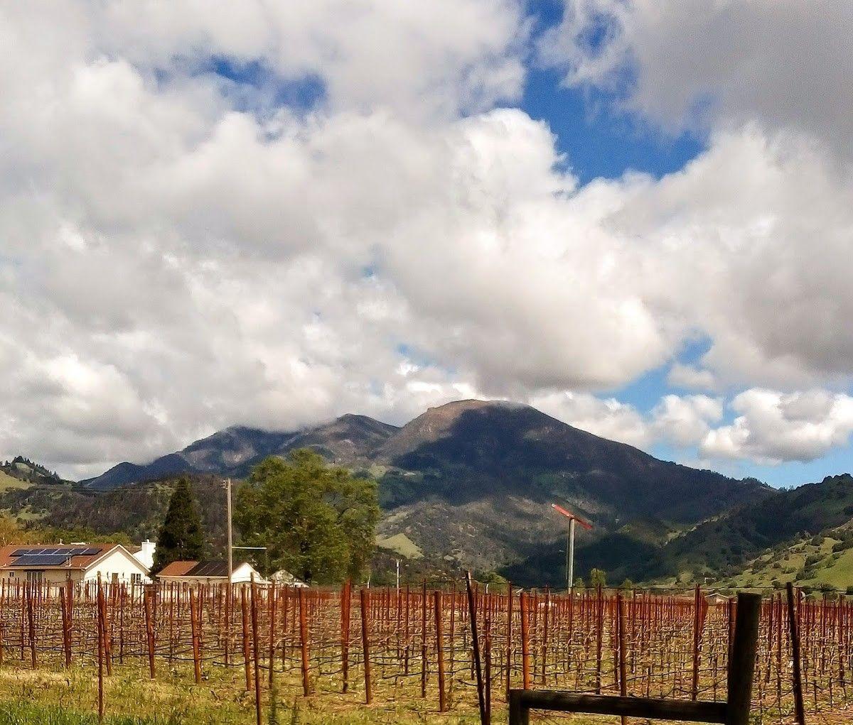 Coquerel Family Wine Estates