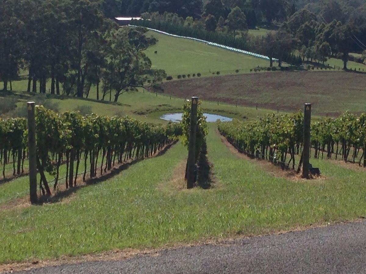 Diamond Creek Estate