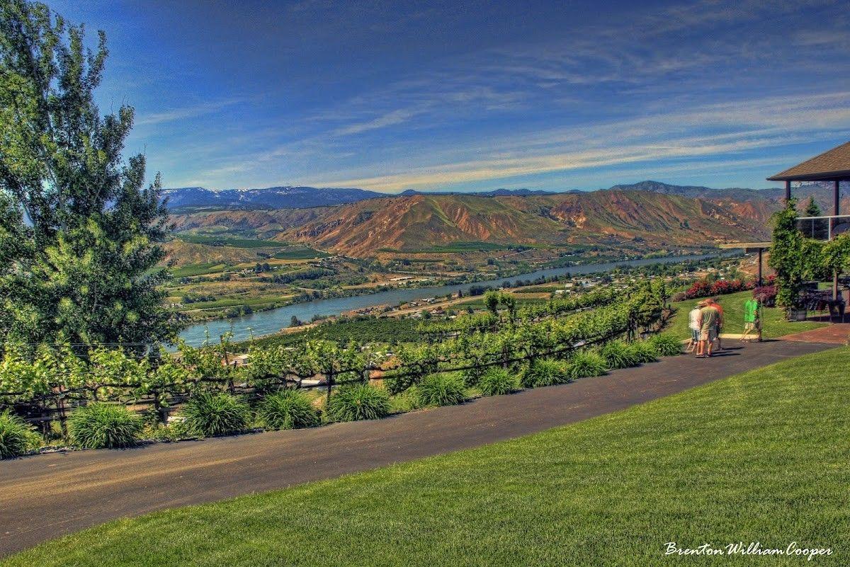 Martin Scott Winery