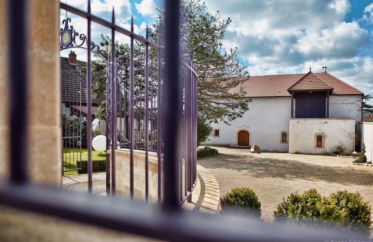 Domaine Michel Magnien