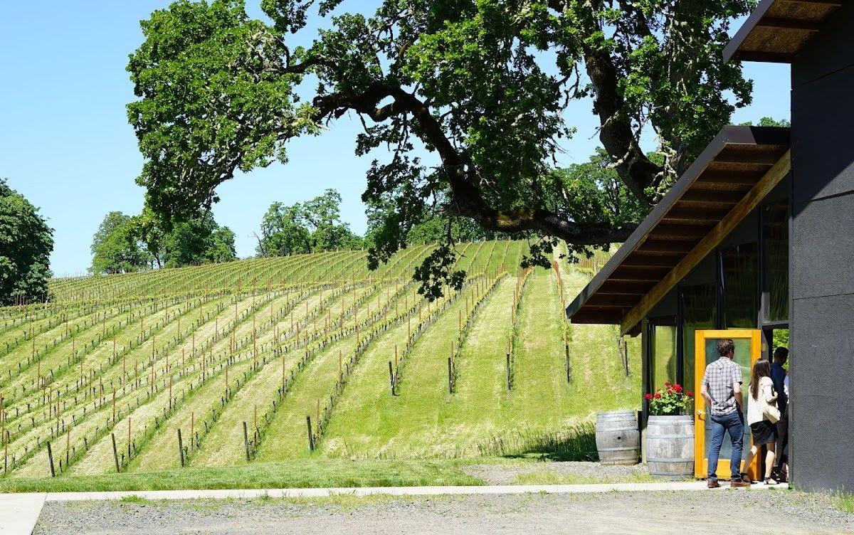 J.L. Kiff Vineyard