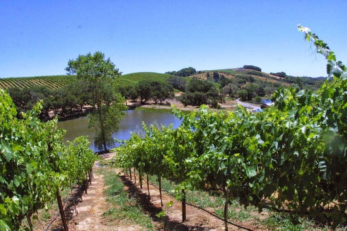 Open Road Wine Company