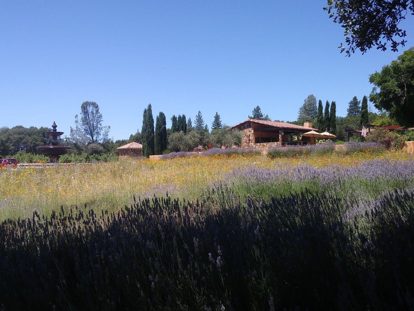 Il Gioiello Winery / Morse Wines