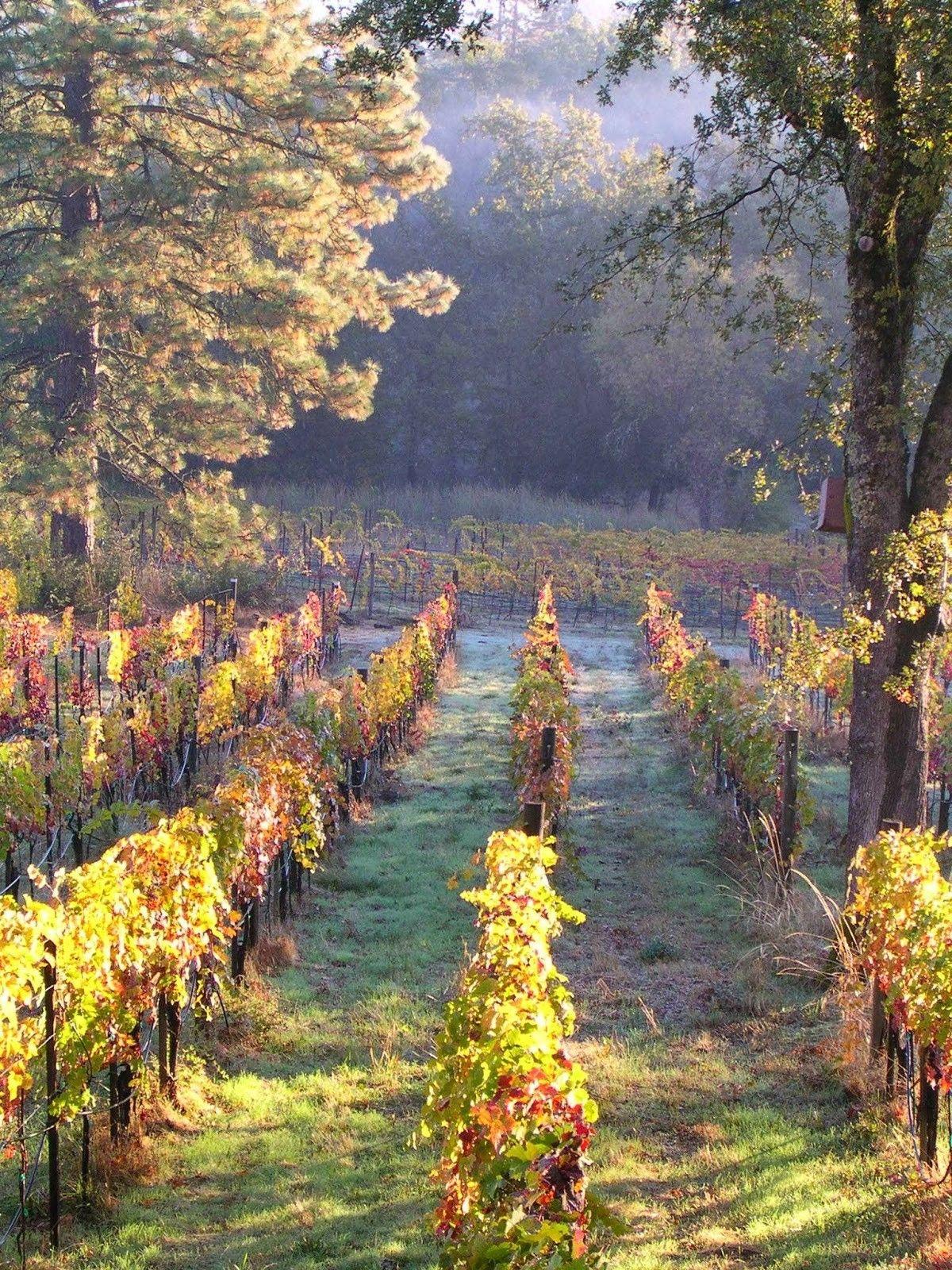 Clos Saron