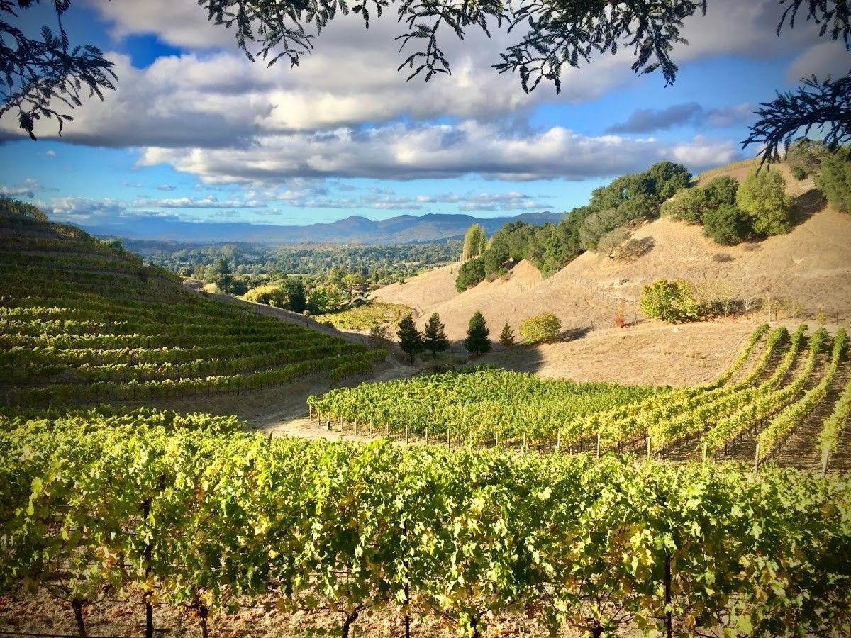 Porter Family Vineyards