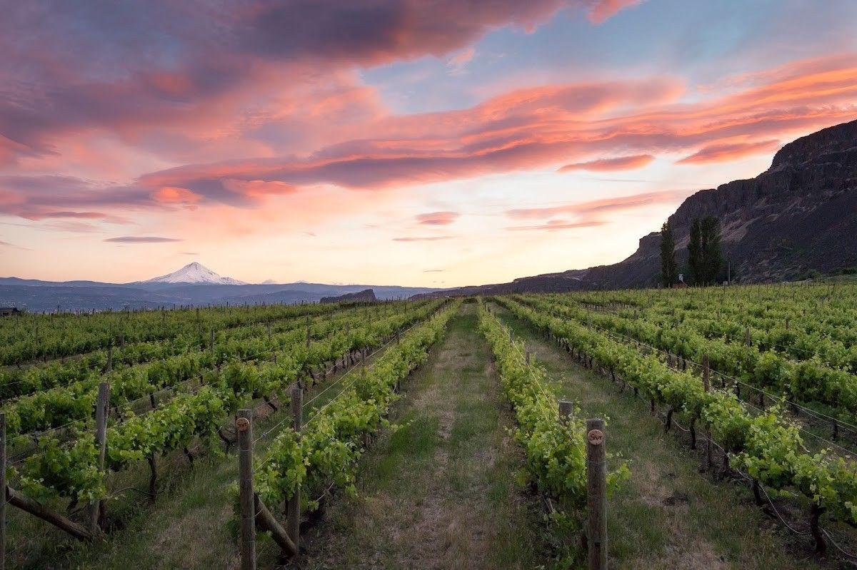 Cascade Cliffs - Hood River Tasting Room