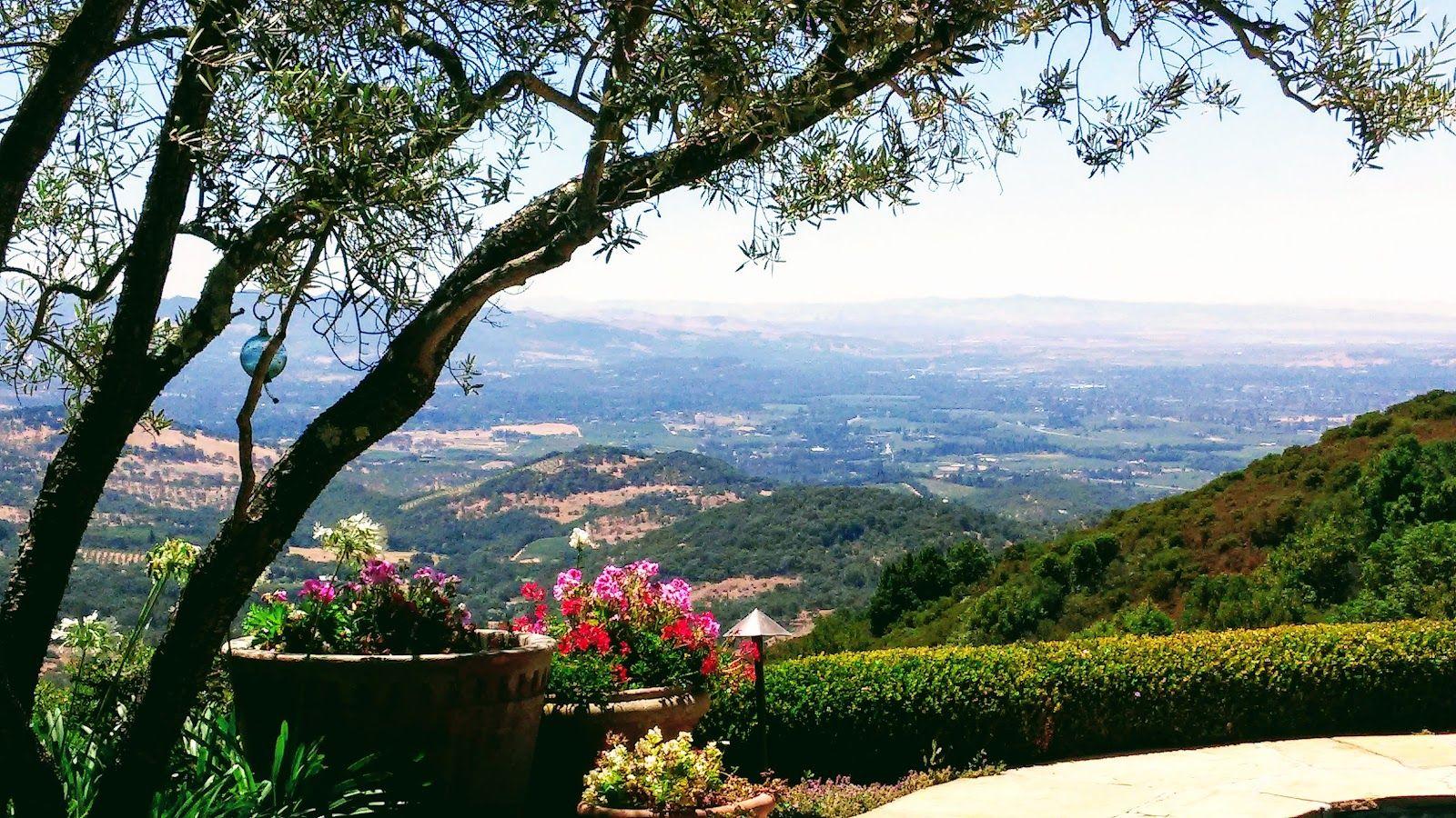 Patland Estate Vineyards
