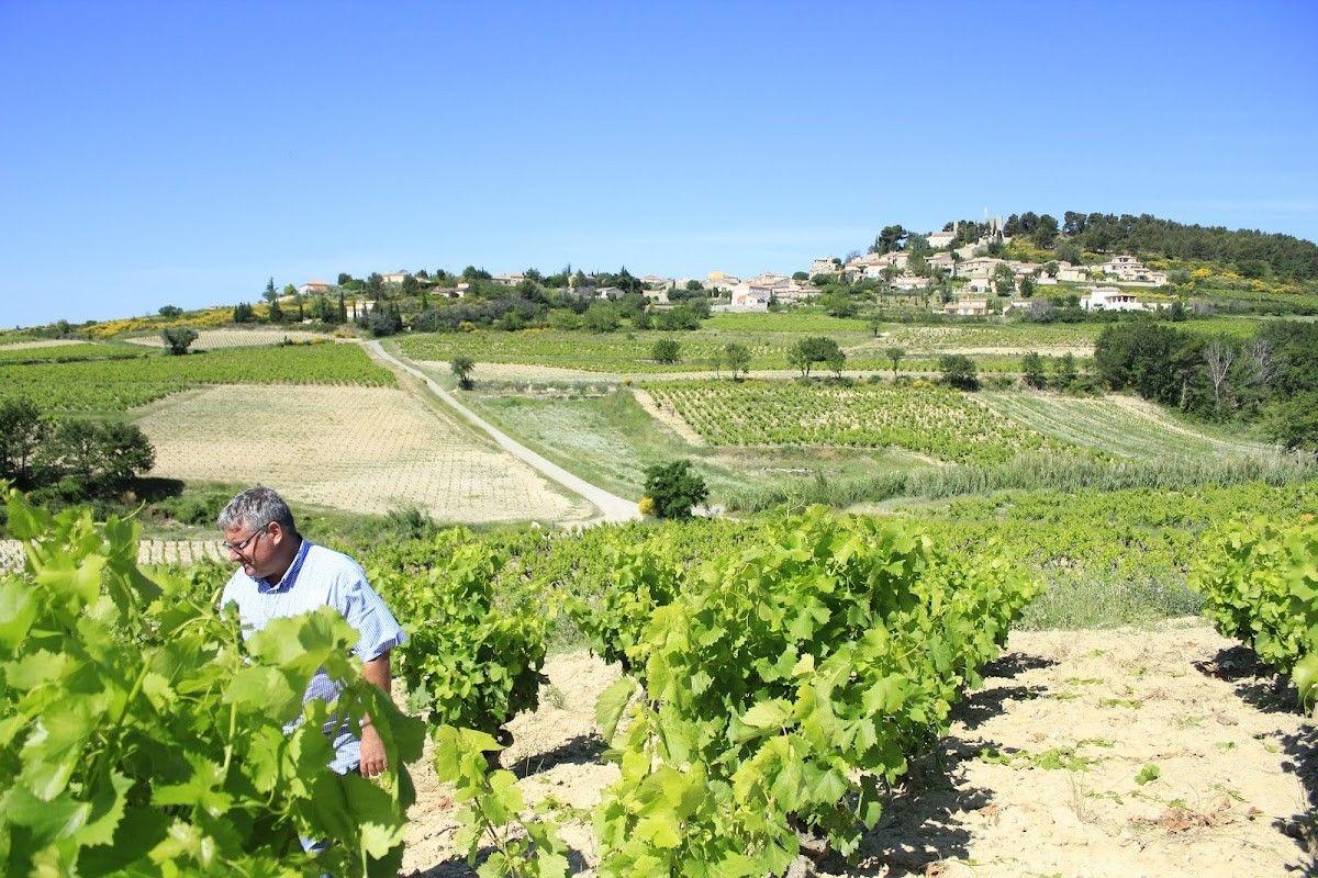 Domaine du Trapadis