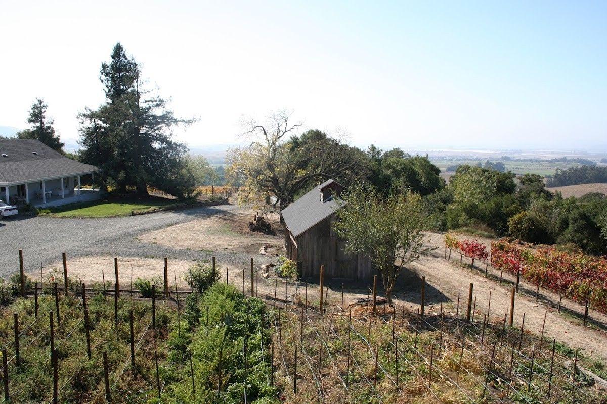 Elkhorn Peak Cellars