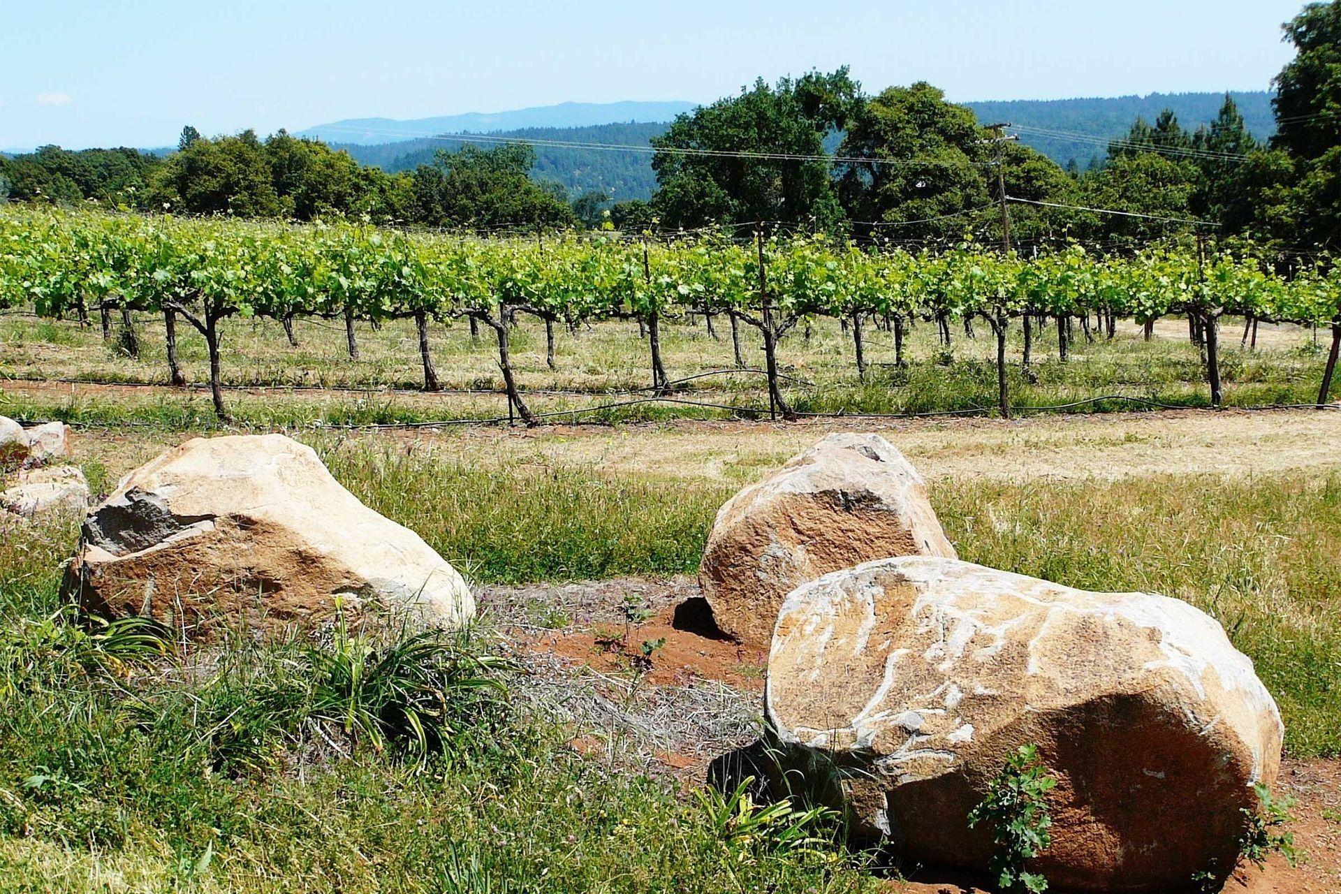 Easton Wines