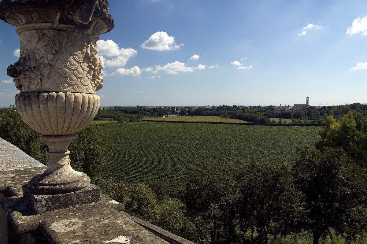 Marchesi Antinori - Tenuta Montenisa