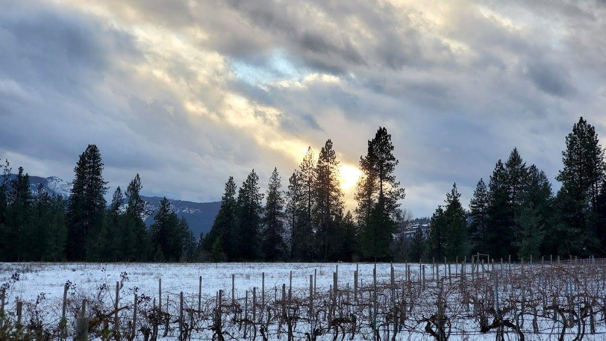 China Bend Winery
