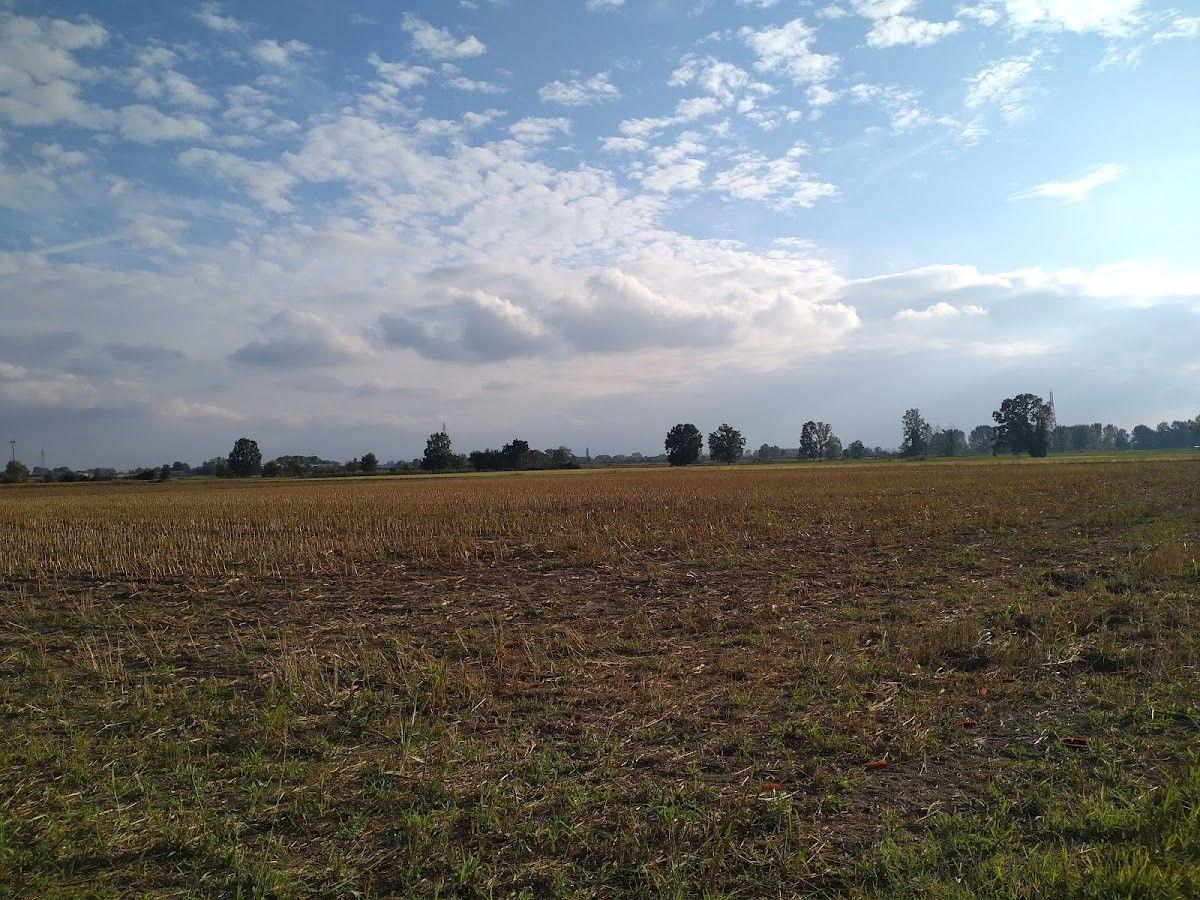 Ca' del Bosco