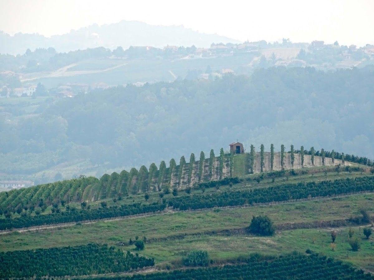 Azienda Agricola Trinchero