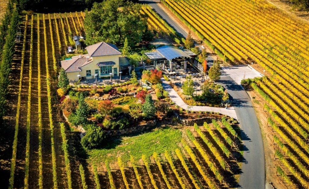Dancin Vineyards