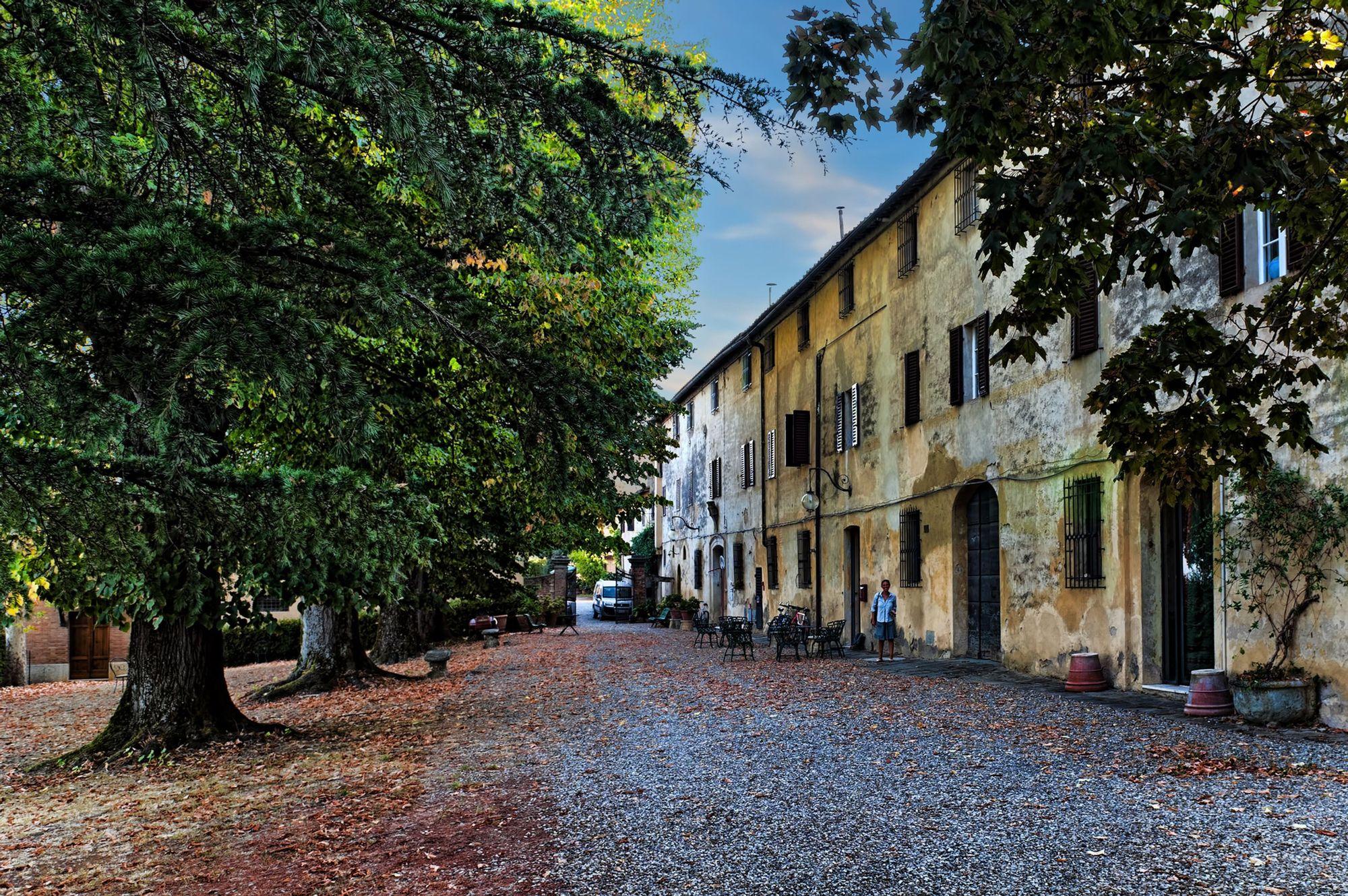Pacina Società Agricola Semplice