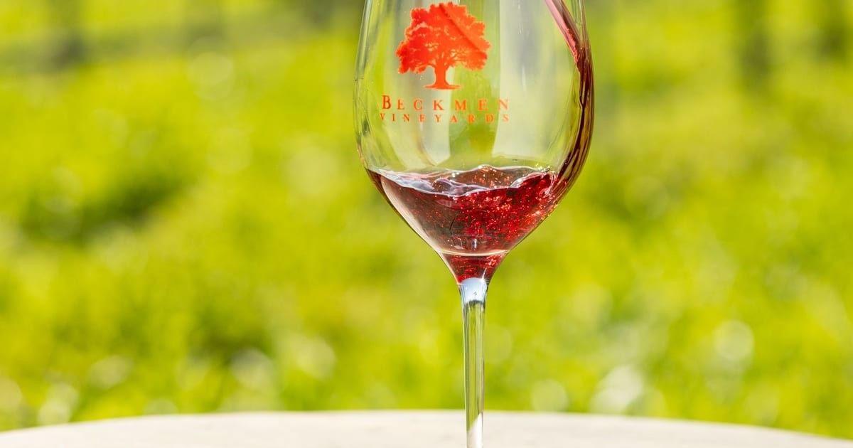 Beckmen Vineyards