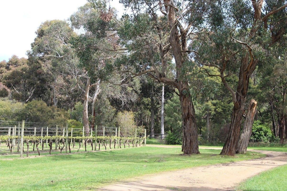 Kings Creek Winery