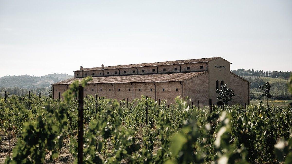 Tenuta di Montefoscoli