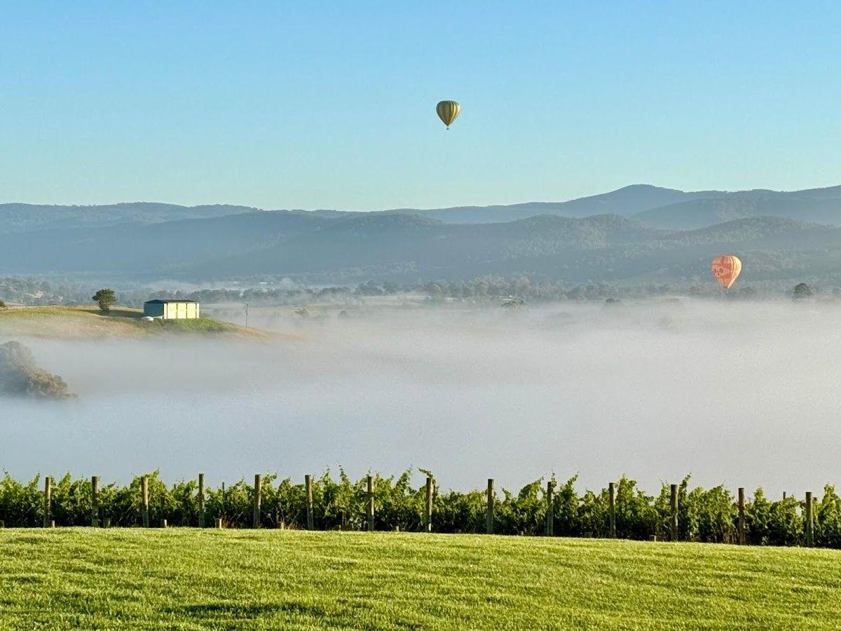 Denton Hill View Vineyard