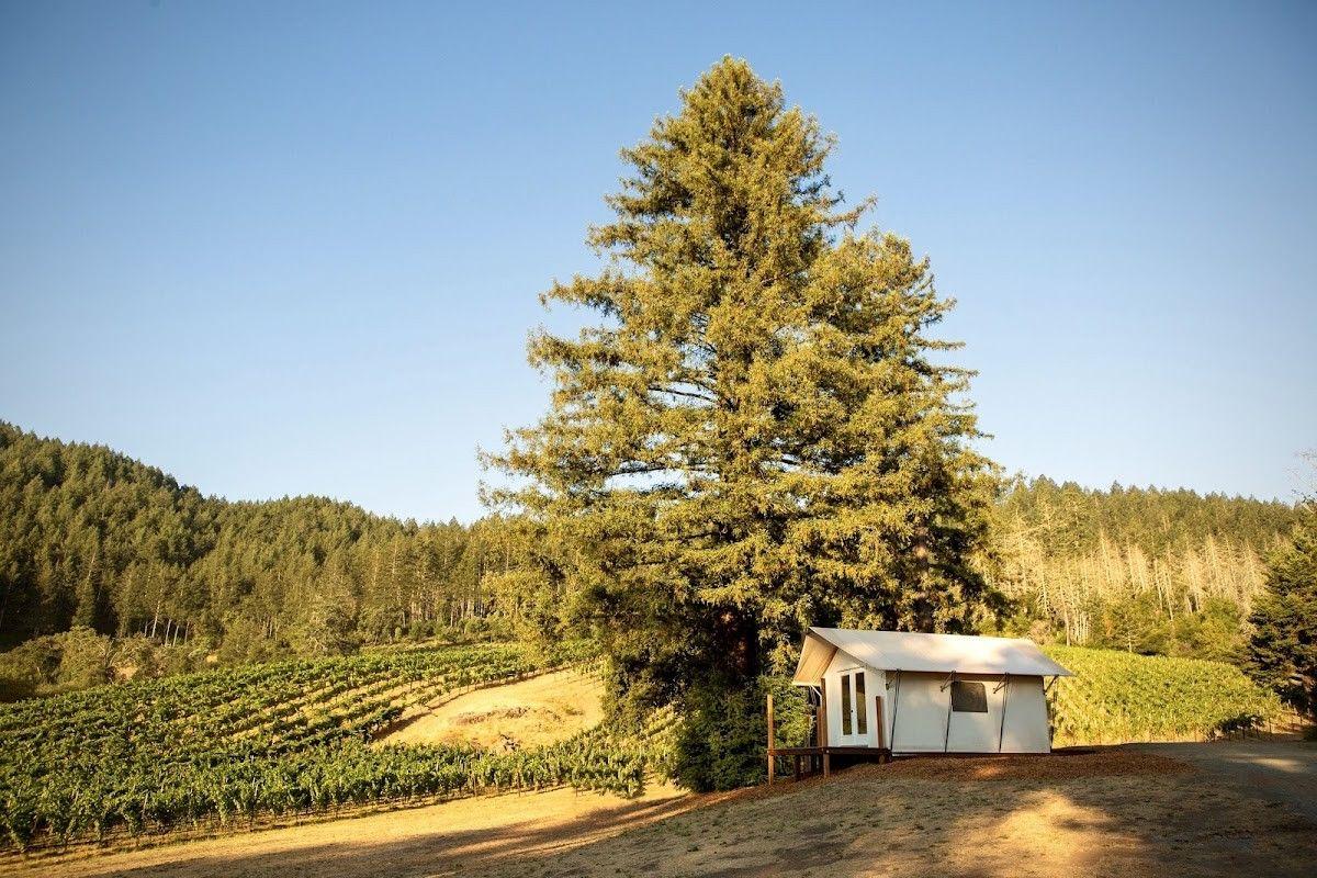 Mt. Brave Wines
