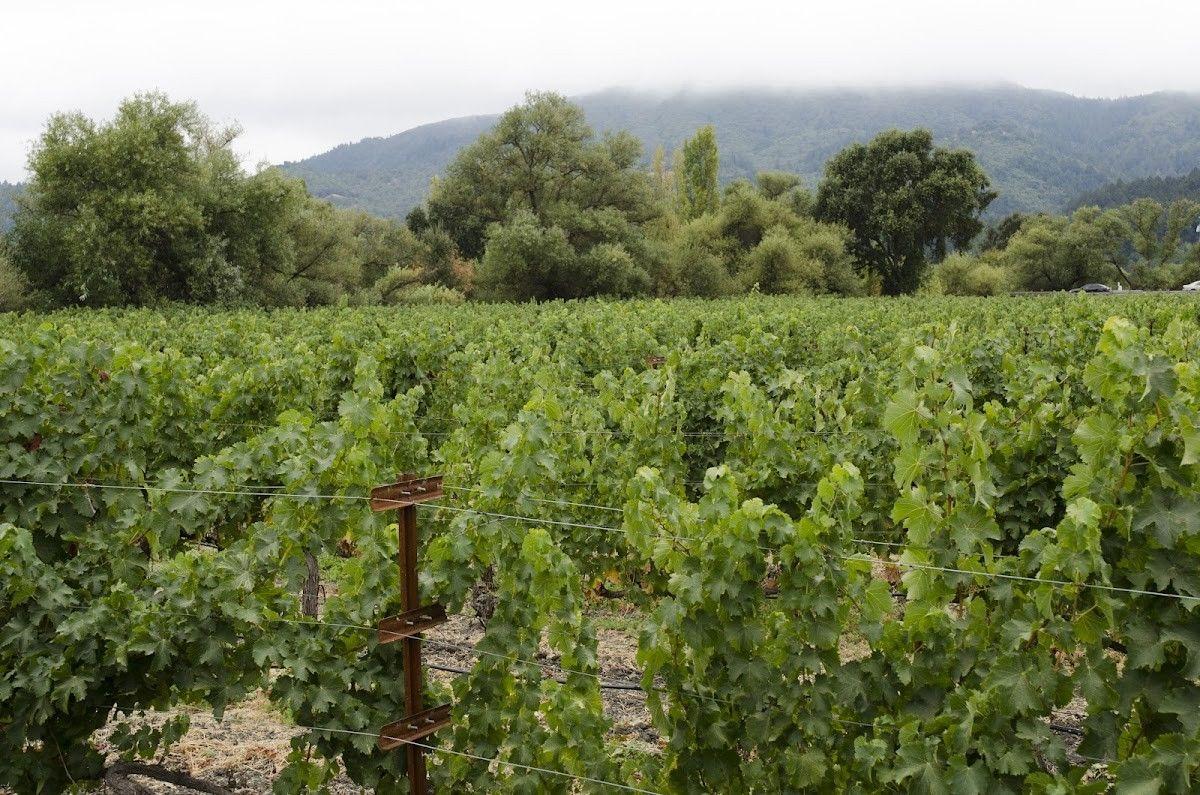 St. Helena Road Winery
