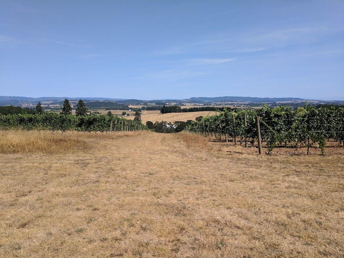 Carlton Hill Wine Company