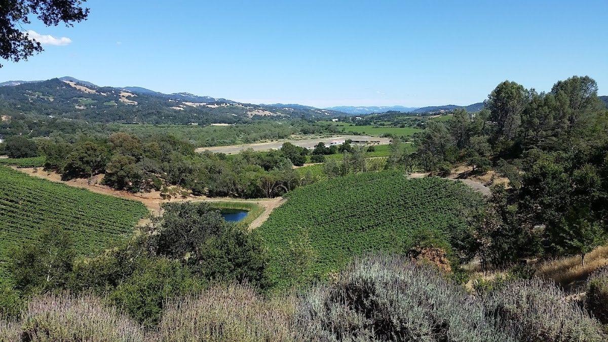 Icaria Creek Winery