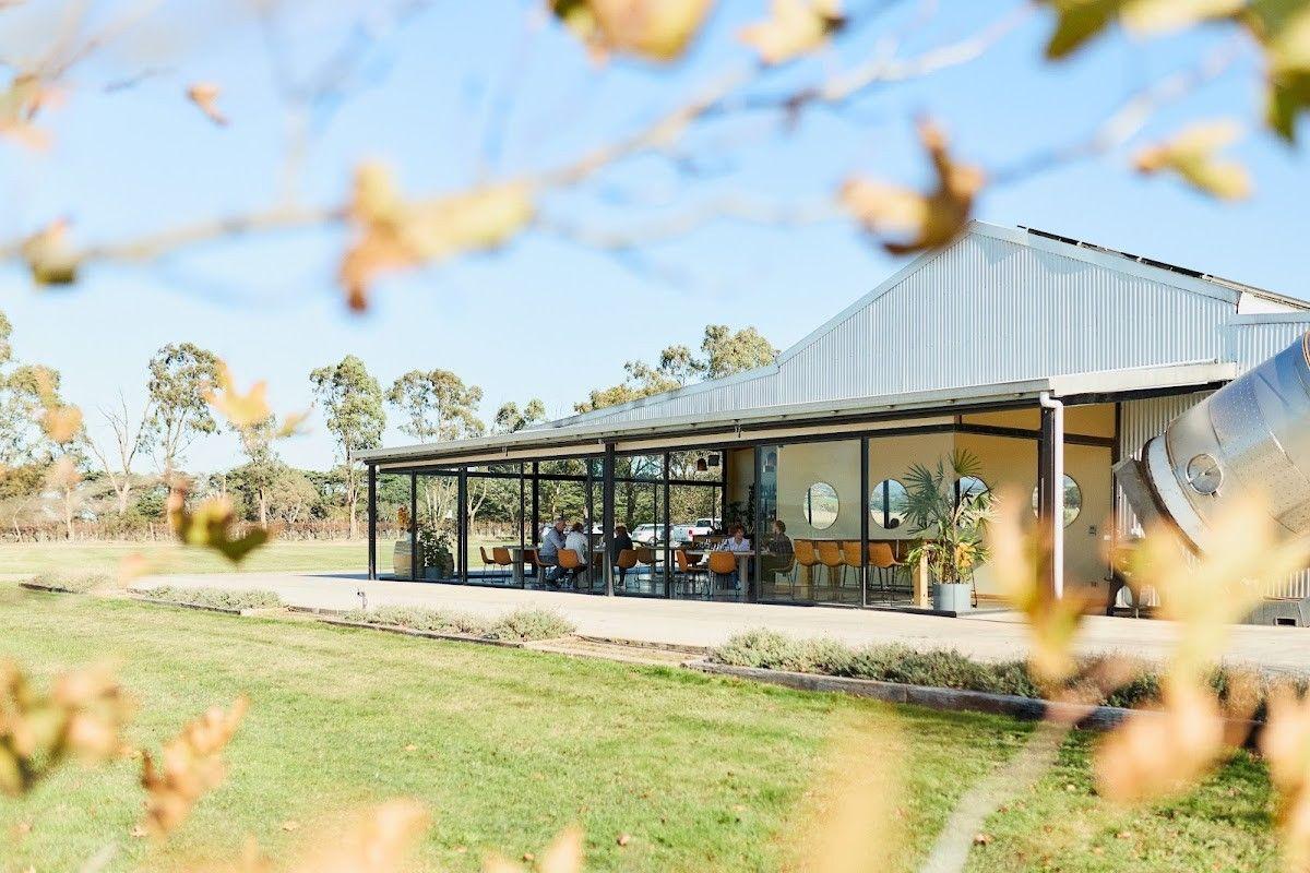 Eastern Peake Vineyard