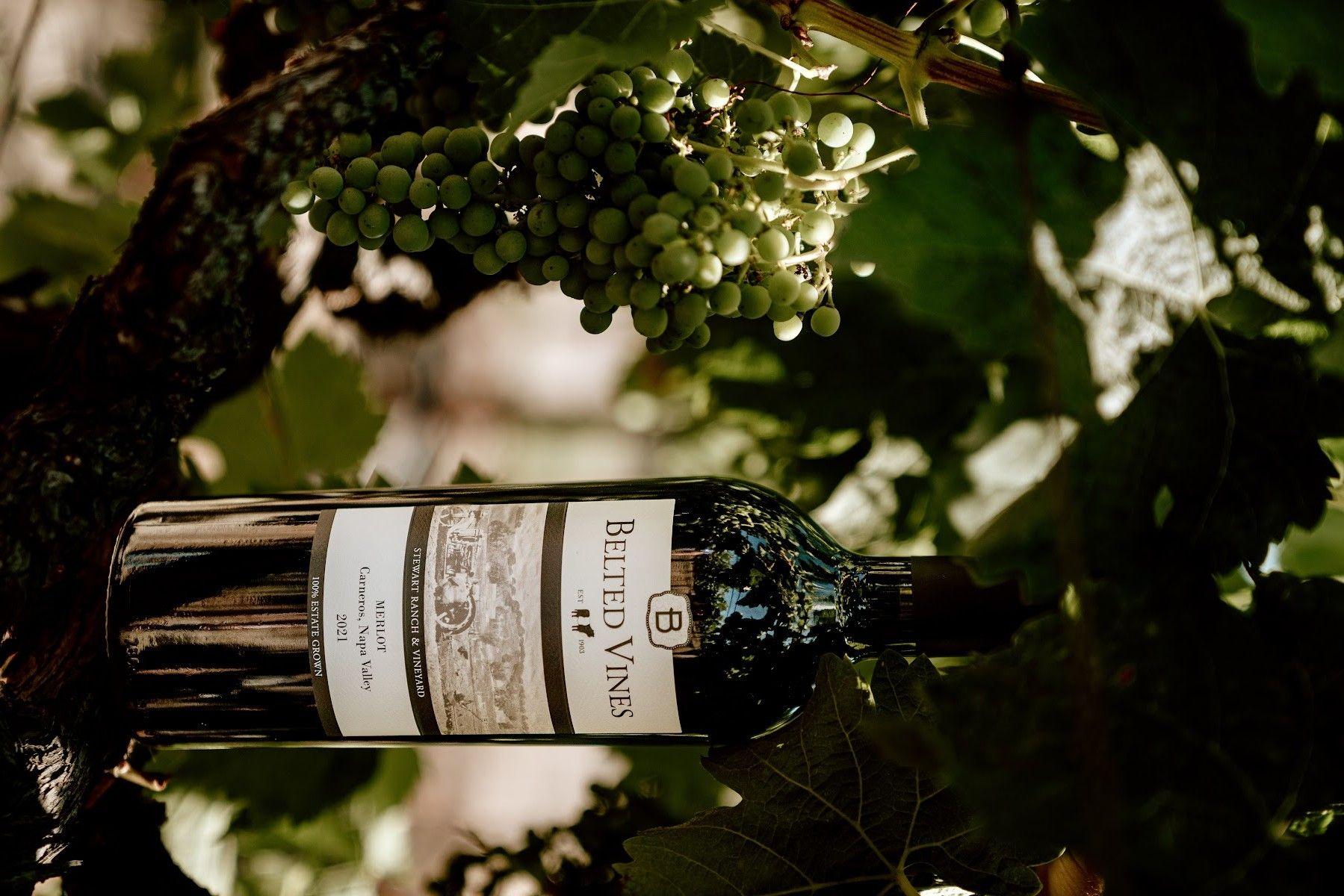 Belted Vines